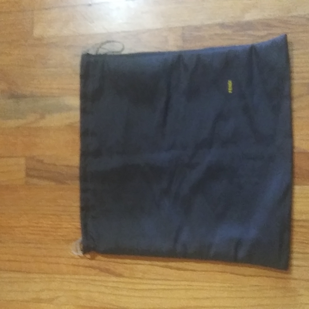Fendi dust bag.